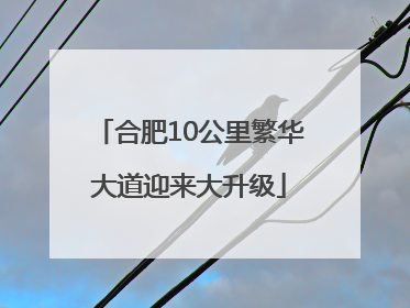 合肥10公里繁华大道迎来大升级
